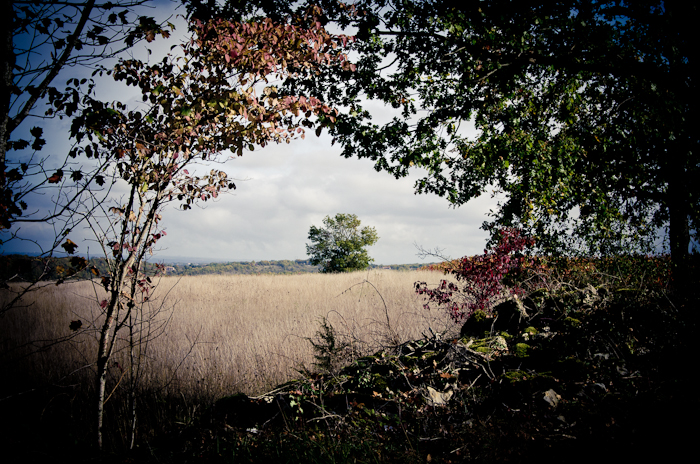 paysage 1.jpg